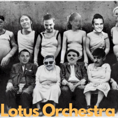 Lotus orchestra live!